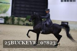 25BUCKEYE_07823 thumbnail