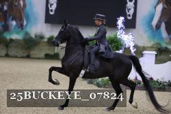 25BUCKEYE_07824 thumbnail