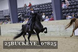 25BUCKEYE_07825 thumbnail