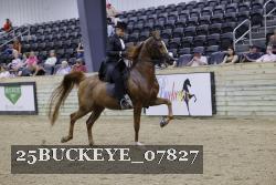 25BUCKEYE_07827 thumbnail