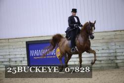 25BUCKEYE_07828 thumbnail