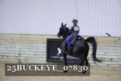 25BUCKEYE_07830 thumbnail