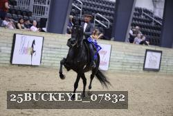25BUCKEYE_07832 thumbnail