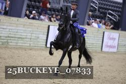 25BUCKEYE_07833 thumbnail