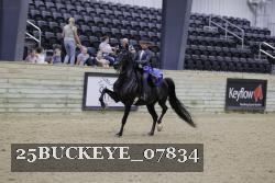25BUCKEYE_07834 thumbnail