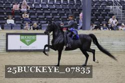 25BUCKEYE_07835 thumbnail