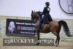 25BUCKEYE_07836 thumbnail