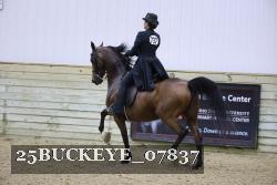 25BUCKEYE_07837 thumbnail