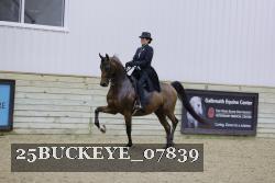 25BUCKEYE_07839 thumbnail