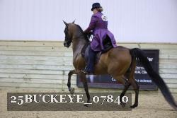 25BUCKEYE_07840 thumbnail