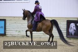 25BUCKEYE_07841 thumbnail
