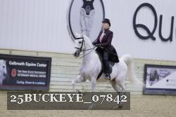 25BUCKEYE_07842 thumbnail