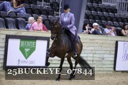 25BUCKEYE_07844 thumbnail