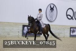 25BUCKEYE_07845 thumbnail