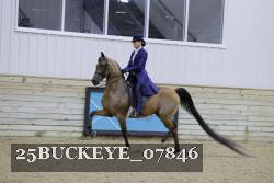 25BUCKEYE_07846 thumbnail