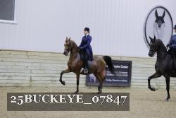 25BUCKEYE_07847 thumbnail