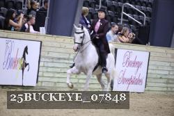 25BUCKEYE_07848 thumbnail
