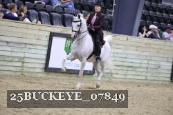 25BUCKEYE_07849 thumbnail