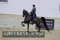 25BUCKEYE_07850 thumbnail