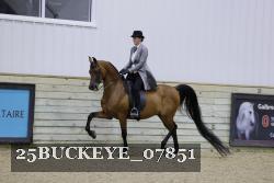 25BUCKEYE_07851 thumbnail