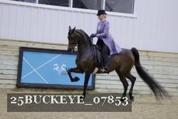 25BUCKEYE_07853 thumbnail