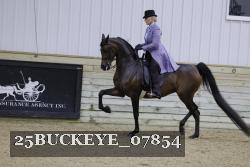 25BUCKEYE_07854 thumbnail