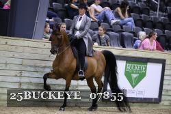 25BUCKEYE_07855 thumbnail