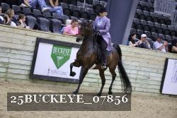 25BUCKEYE_07856 thumbnail