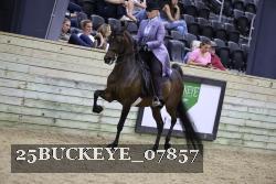 25BUCKEYE_07857 thumbnail