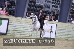 25BUCKEYE_07858 thumbnail