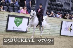 25BUCKEYE_07859 thumbnail
