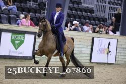 25BUCKEYE_07860 thumbnail