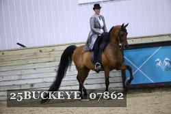25BUCKEYE_07862 thumbnail