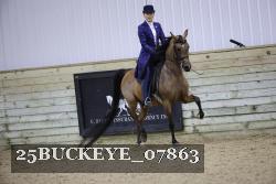 25BUCKEYE_07863 thumbnail