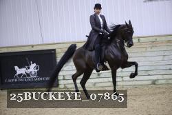 25BUCKEYE_07865 thumbnail