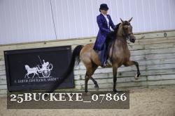 25BUCKEYE_07866 thumbnail