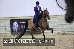 25BUCKEYE_07870 thumbnail