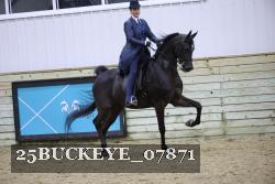 25BUCKEYE_07871 thumbnail