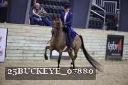 25BUCKEYE_07880 thumbnail