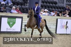 25BUCKEYE_07883 thumbnail