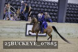 25BUCKEYE_07885 thumbnail