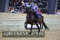 25BUCKEYE_07886 thumbnail