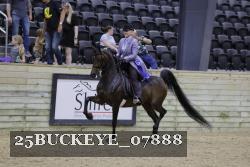 25BUCKEYE_07888 thumbnail