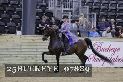 25BUCKEYE_07889 thumbnail