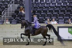 25BUCKEYE_07890 thumbnail