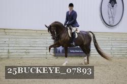 25BUCKEYE_07893 thumbnail