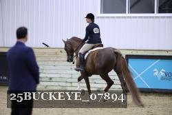 25BUCKEYE_07894 thumbnail