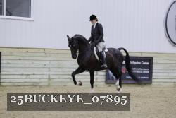 25BUCKEYE_07895 thumbnail