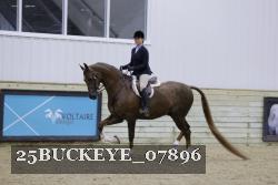 25BUCKEYE_07896 thumbnail