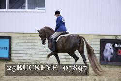 25BUCKEYE_07897 thumbnail